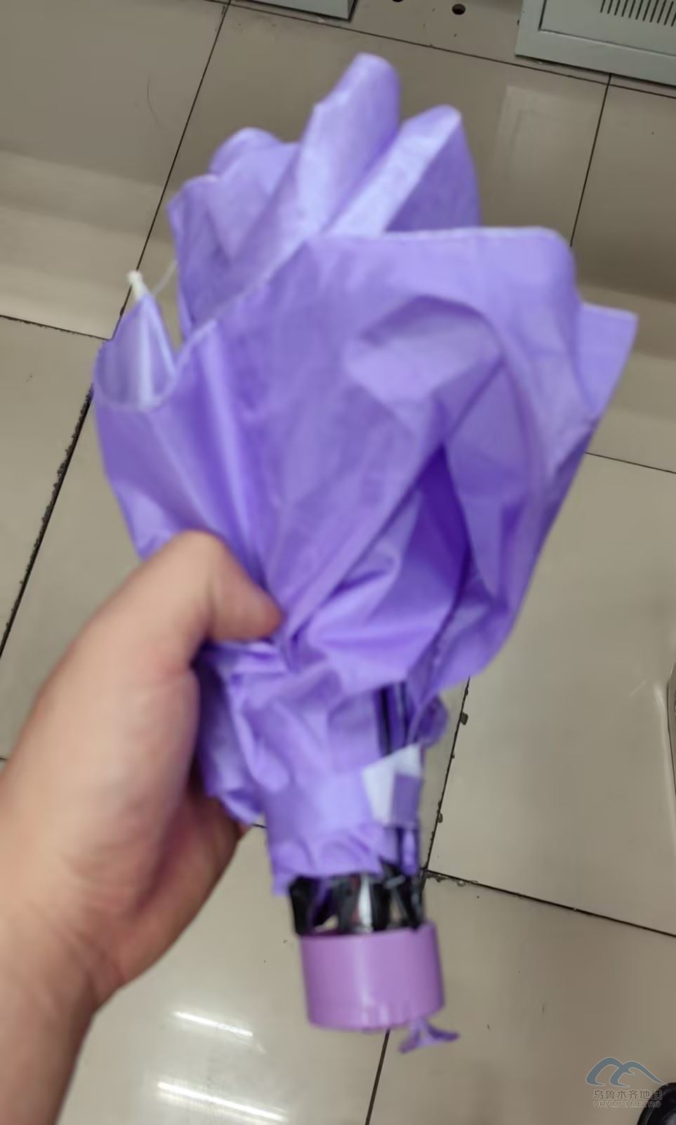 紫色雨伞.jpg
